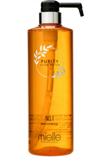 Очищувальний шампунь Purity Shine Water Shampoo Original №1 за ціною 630₴  у категорії Корейська косметика Класифікація Професійна