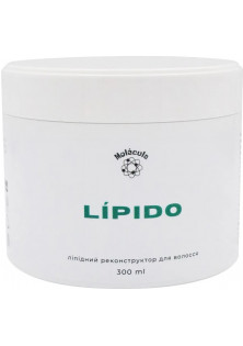 Ліпідний реконструктор для волосся Lipido за ціною 1050₴  у категорії Реконструктор для волосся Ефект для волосся Відновлення
