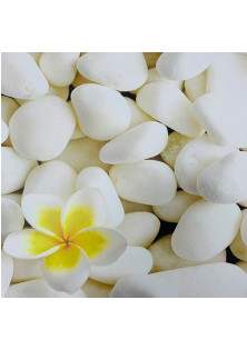 Вініловий фотофон для нігтів Білі камінці з квіткою за ціною 90₴  у категорії Nailapex Тип Фотофон для манікюру