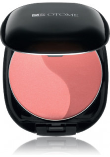 Двоколірні рум'яна рожеві Duo Color Power Blush №201 за ціною 1136₴  у категорії Японська косметика Тип шкіри Усі типи шкіри