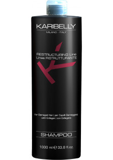 Відновлювальний шампунь для волосся Restructuring Shampoo за ціною 1055₴  у категорії Італійська косметика Ефект для волосся Очищення