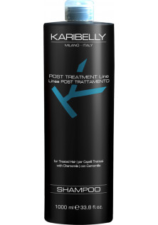 Шампунь для фарбованого волосся Post Treatment Shampoo в Україні
