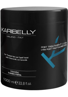 Маска для фарбованого волосся Post Treatment Mask за ціною 1318₴  у категорії Італійська косметика Бренд Karibelly
