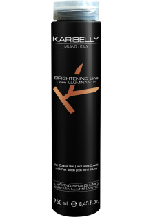 Купити Karibelly Догляд для блиску волосся Brightening Leaving вигідна ціна