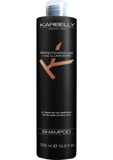 Шампунь для блиску волосся Brightening Shampoo за ціною 820₴  у категорії Італійська косметика