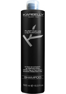 Купити Karibelly Очищующий шампунь для волосся Purifying Shampoo For Greasy Hair вигідна ціна