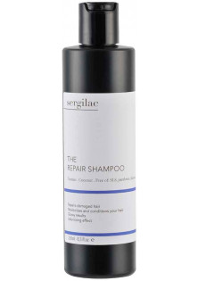 Відновлюючий шампунь для волосся The Repair Shampoo за ціною 395₴  у категорії Іспанська косметика