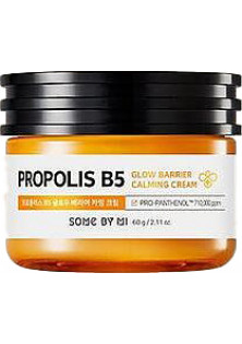 Крем із екстрактом прополісу Propolis B5 Glow Barrier Calming Cream за ціною 520₴  у категорії Корейська косметика Тип шкіри Усі типи шкіри