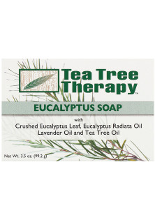 Отшелушивающее эвкалиптовое мыло Eucalyptus Soap на растительной основе по цене 182₴  в категории Средства для ванной и душа Тип кожи Все типы кожи