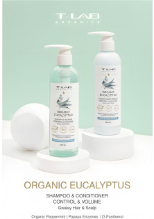 Набір для догляду за жирним волоссям Eucalyptus Shampoo And Conditioner Set в Україні