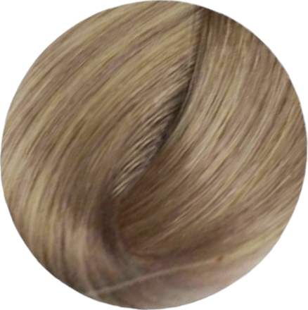 Крем-фарба для волосся Professional Hair Colouring Cream №12/13 Superlight Blonde Platinum Biege Extra