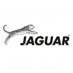 Термобрашинг Jaguar