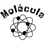 Шампуні від лупи Molécula