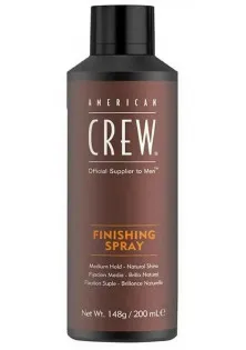 Лак для волосся Finishing Spray за ціною 524₴  у категорії Чоловічі засоби для укладання волосся Країна ТМ США