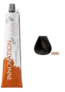 Фарба для волосся фіолетова Innovation Evo 2000 за ціною 375₴  у категорії Фарба для волосся Ефект для волосся Фарбування