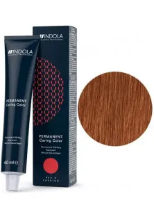 Перманентна крем-фарба Indola Permanent Caring Color №8.43 за ціною 228₴  у категорії Крем-фарби для волосся