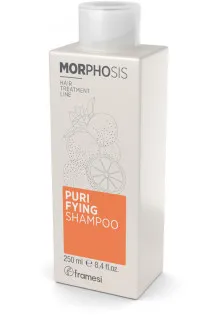 Шампунь против перхоти Morphosis Purifying Shampoo