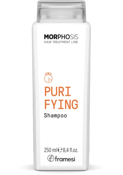 Framesi Шампунь проти лупи Morphosis Purifying Shampoo - фото 1