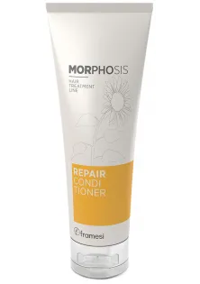 Відновлюючий кондиціонер для волосся Morphosis Repair Conditioner