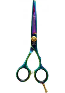 Професійні ножиці для волосся Professional Scissors Inox 5.5 Chameleon за ціною 2900₴  у категорії Ножиці для волосся