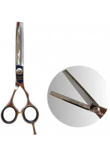 Філірувальні ножиці Professional Scissors Inox 6.0 за ціною 2900₴  у категорії Ножиці для волосся