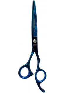 Професійні ножиці для волосся Professional Scissors Inox 6.5 Blue Metallic за ціною 3200₴  у категорії Інструменти для перукарів Стать Універсально