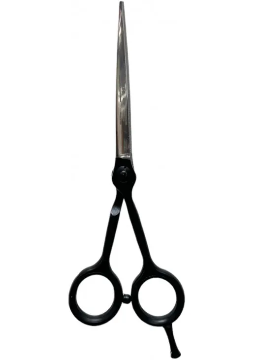 Професійні ножиці для волосся Professional Scissors Inox 6 R L Metallic - фото 1