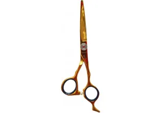 Професійні ножиці для волосся Professional Scissors 5.5 Gold за ціною 3100₴  у категорії Переглянуті товари