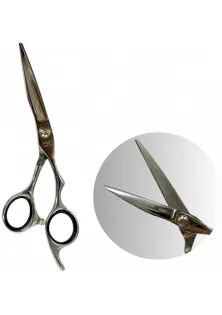 Купити Henbor Професійні ножиці для волосся з футляром Professional Scissors Inox 5.5 вигідна ціна