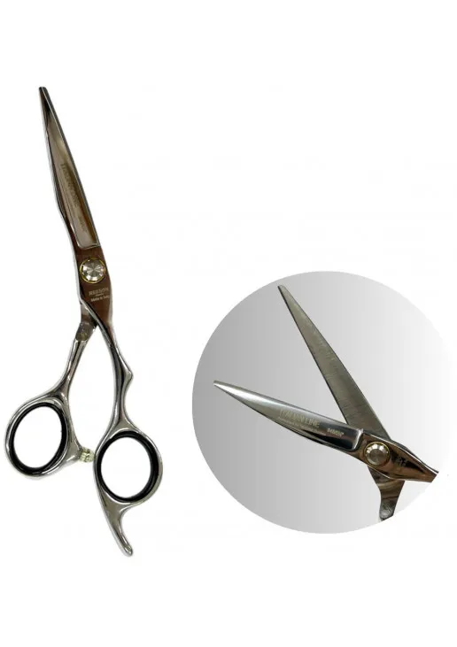 Професійні ножиці для волосся з футляром Professional Scissors Inox 5.5 - фото 1