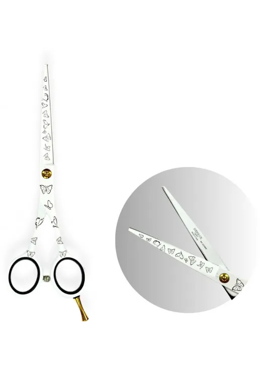 Ножиці для волосся Professional Scissors 6.0 - фото 1