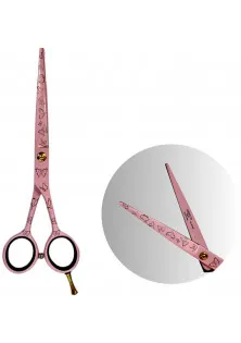 Ножиці для волосся Professional Scissors Inox 6.0 за ціною 2199₴  у категорії Аксесуари та техніка Тип Ножиці для стрижки