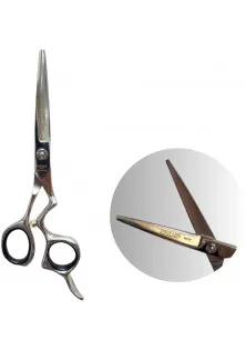 Профессиональные ножницы для волос с футляром Professional Scissors Inox 5.5 в Украине