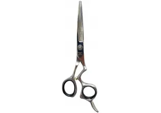 Професійні ножиці для волосся з футляром Professional Scissors Inox 6 за ціною 3600₴  у категорії Переглянуті товари