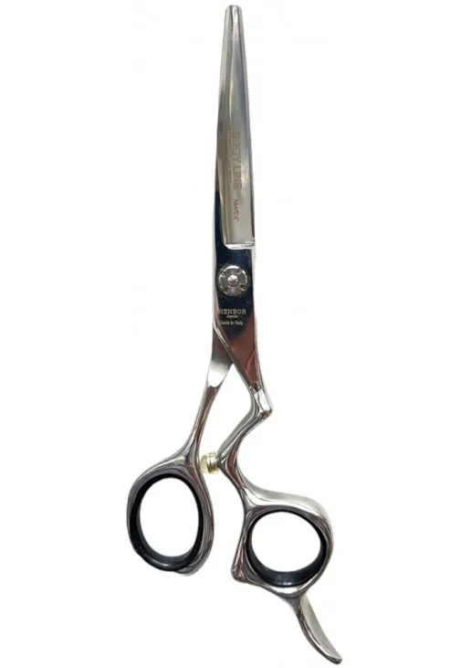 Професійні ножиці для волосся з футляром Professional Scissors Inox 6 - фото 1