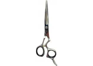 Купити  Професійні ножиці для волосся з футляром Professional Scissors Inox 6 вигідна ціна