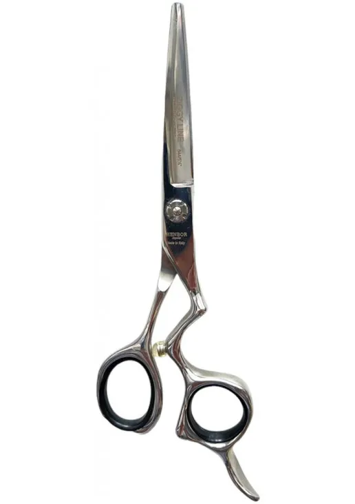 Професійні ножиці для волосся з футляром Professional Scissors Inox 6 - фото 1