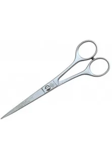 Ножиці прямі 6 з регульованим гвинтом Coiffeur Super Line за ціною 960₴  у категорії Ножиці для волосся