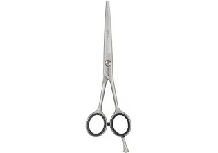 Прямі ножиці для стрижки Hairdressing Scissors Satin 5,5 за ціною 3870₴  у категорії Переглянуті товари