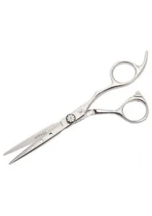 Професійні ножиці для стрижки за ціною 2159₴  у категорії Інструменти для перукарів Тип Ножиці для стрижки