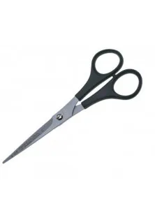 Ножиці для стрижки Professional за ціною 536₴  у категорії Аксесуари та техніка Тип Ножиці для стрижки