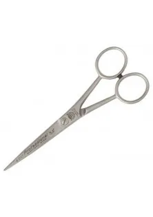 Ножиці для стрижки Professional за ціною 760₴  у категорії Ножиці для волосся