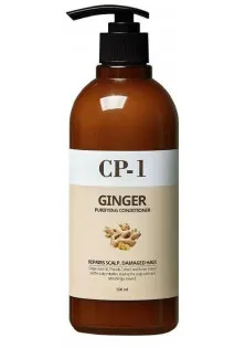 Кондиціонер Ginger Purifying Conditioner з імбиром за ціною 593₴  у категорії Кондиціонер з фруктовим оцтом Sessio Hair Detox System Conditioner