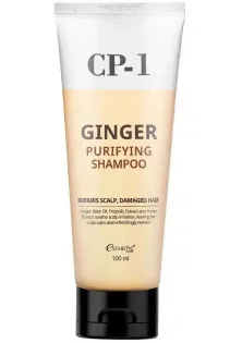 Шампунь Ginger Purifying Shampoo з імбиром за ціною 202₴  у категорії Шампуні Ефект для волосся Себорегуляція