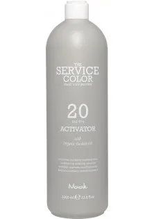 Окислювач для волосся Activator 20 Vol 6% за ціною 364₴  у категорії Окислювач для волосся Серiя The Service Color