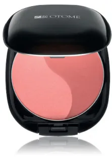 Двоколірні рум'яна рожеві Duo Color Power Blush №201 за ціною 1033₴  у категорії Декоративна косметика для обличчя