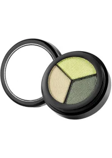 Перламутрові тіні для повік Opal Trio Eyeshadows №232 Atacama за ціною 250₴  у категорії Декоративна косметика для очей Миколаїв