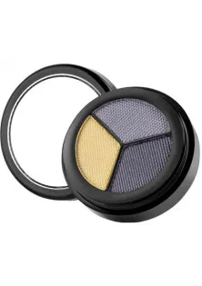 Перламутрові тіні для повік Opal Trio Eyeshadows №233 Black Canary за ціною 250₴  у категорії Декоративна косметика для очей Час застосування Універсально