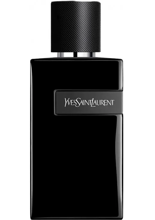 Парфуми з фужерним ароматом Y Le Parfum - фото 1