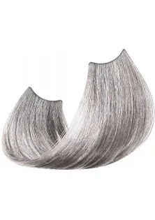 Фарба для волосся Right Color 1SG Срібна за ціною 300₴  у категорії Косметика для волосся Бренд Right Color
